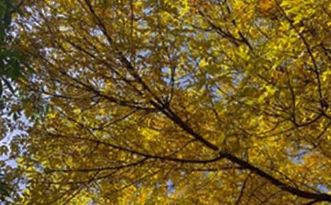 ����(sh��)�á�2025������ϵ�簲����Ȧ��(w��n)���Z(y��)23��