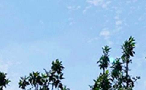 �簲,̫�(y��ng)��������