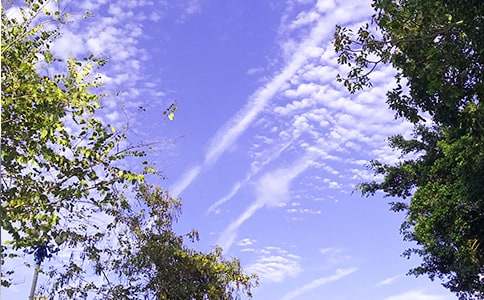 暖心早安感言30句精選