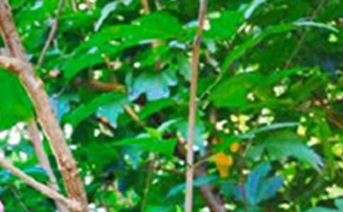 早安簡(jiǎn)短溫暖寄語(yǔ)