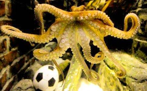 �ҵĺ��������~(y��)������ģ����x21ƪ��