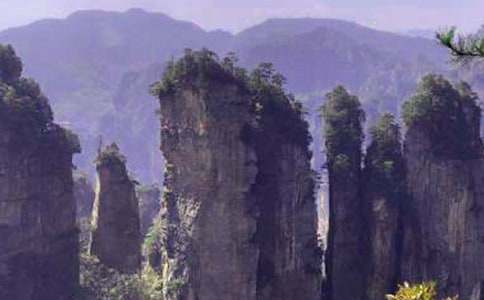 �Ώ��ҽ����T(m��n)ɽ����