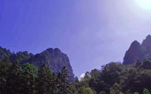 ���ݏ��ҽ����ε��~�Z(y��)