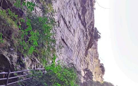 �Ώ��ҽ����T(m��n)ɽС�W(xu��)��(y��u)������500�֣����x32ƪ��