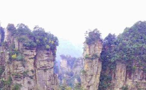 �Ώ��ҽ����T(m��n)ɽ���ģ����x25ƪ��