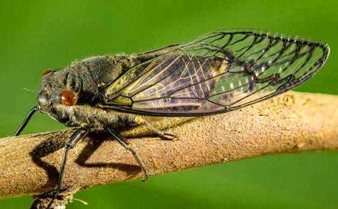 ֪������600�ֺϼ�7ƪ