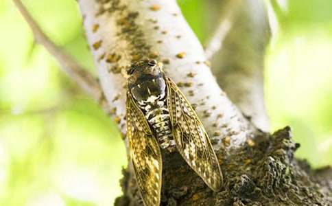 �����x��֪������600��4ƪ