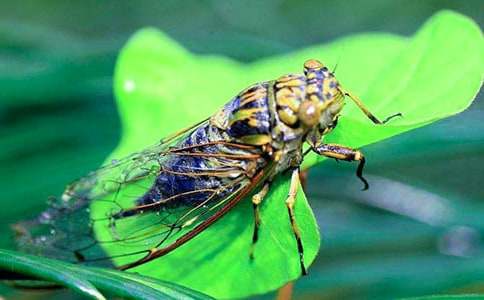 ׽֪��С�W(xu��)400������