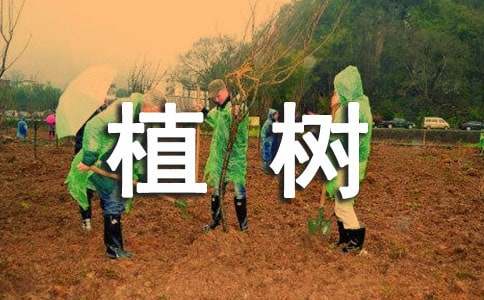 ֲ��(sh��)��(w��n)�}�ɶ˶��Խ̰�