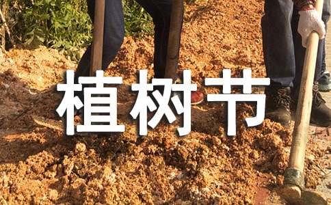 2017��ֲ��(sh��)���ĸ�������500��