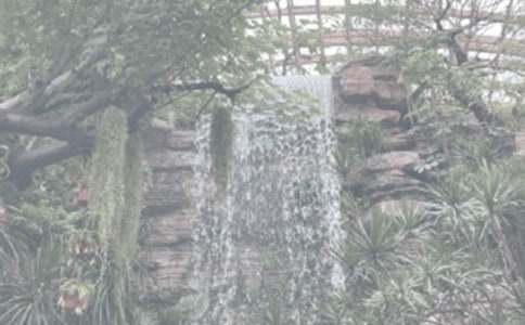 ���A��ֲ��@����600�ַ���