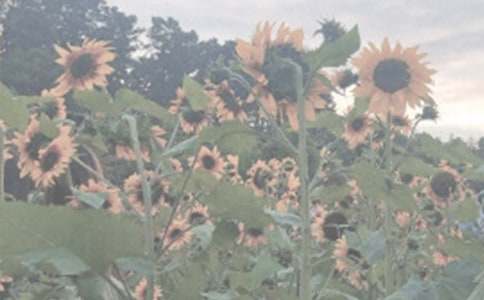 ����ɽֲ��@��������