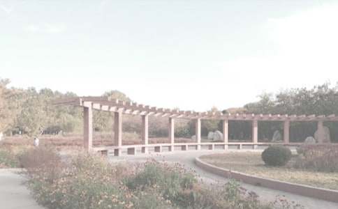 ֲ��@��ӛ��(y��u)������600�֣����x10ƪ��