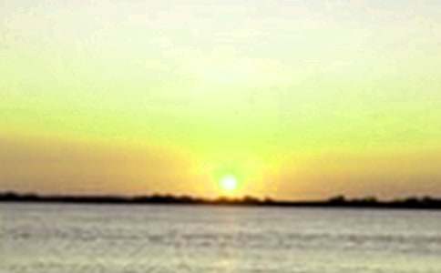 中小學(xué)作文閱讀答案-中午的黃昏