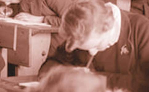 �ЌW(xu��)����(y��u)������600�֣� (t��ng)�L(f��ng)����17ƪ