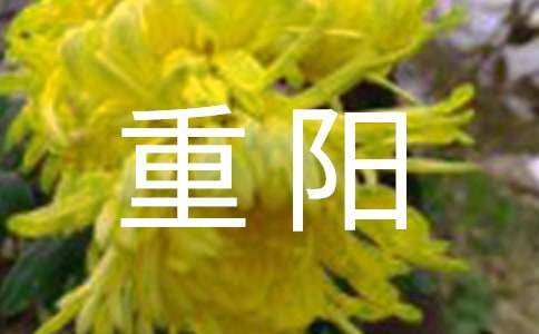 800字作文:重陽(yáng)登高望遠(精選23篇)