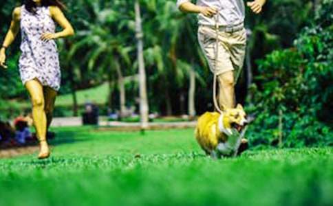 這個(gè)周末作文(15篇)