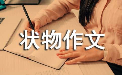 ���꼉�������ģ����ҵ�Ұ�ٺ�_900��