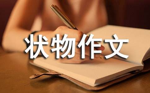 ���꼉�������ģ��~(y��)_700��