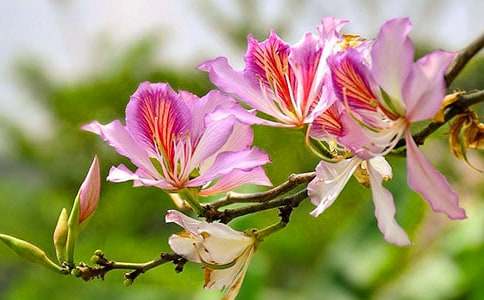 ��(xi��)���G��������500��