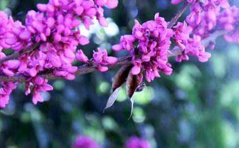 ���������G�����ąR��5ƪ