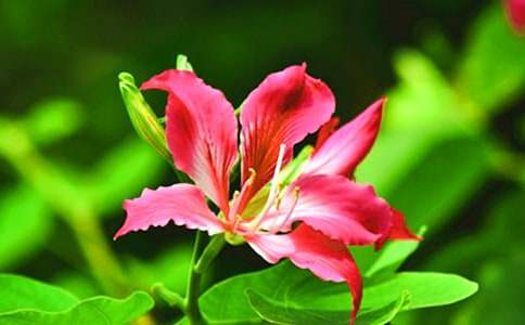 �^(gu��n)�����G������