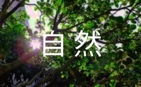 �����~���P����Ȼ���o�^