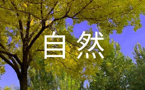 《大自然的語(yǔ)言》教案及練習