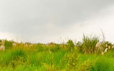 �������ģ����M(j��n)���C�Ĵ���