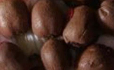 獼猴桃小學(xué)作文