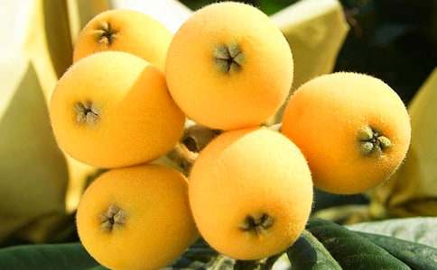 ӛ���е����˘�(sh��)����