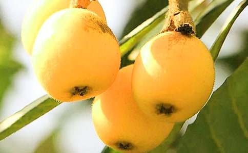 ��(xi��)���˘�(sh��)�����ģ����x52ƪ��