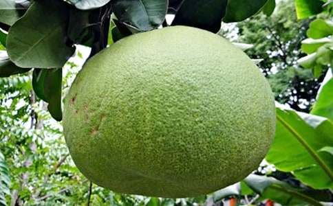 �^(gu��n)����������(4ƪ)