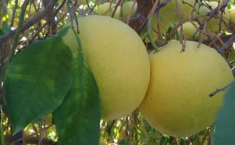 һ��(g��)��������