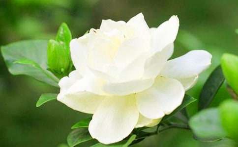 ��(��i)��d�ӻ��_(k��i)����600��