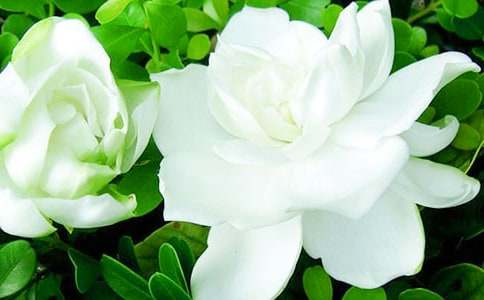 ���d�ӻ��_(k��i)�ĕr(sh��)������