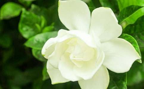 ���P(gu��n)������ėd�ӻ��_(k��i)����