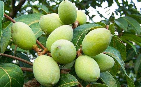 С�ϙ�������ĳ�������