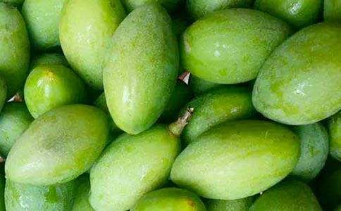 小橄欖的哲理素材作文