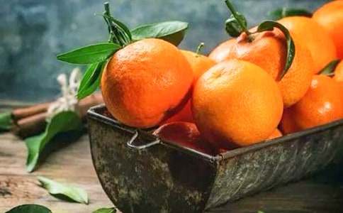 橘子水的味道作文【精】