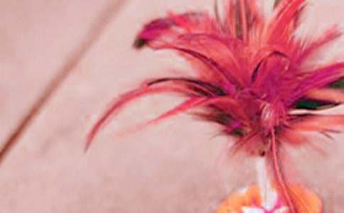 �����֌�(xi��)�˵�����700��