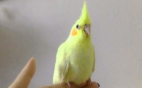 ��(sh��)�õ��W�^�~(y��)������ƪ