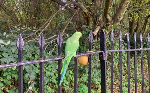 �W�^�~(y��)�Đ�(��i)750��-��������