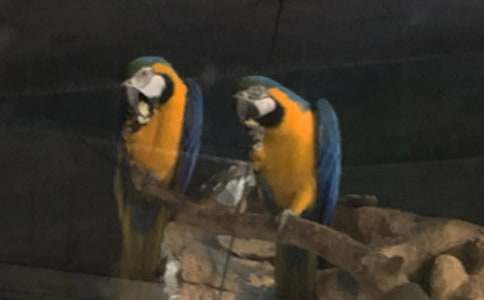 ���x�W�^�~(y��)����9ƪ