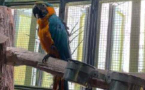 �W�^�~(y��)���ĺϼ�8ƪ