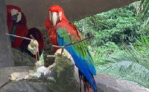 �W�^�~(y��)�Đ�(��i)����