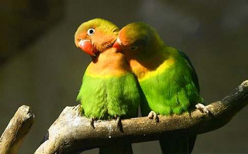 �����T(m��n)���W�^�~(y��)������ƪ