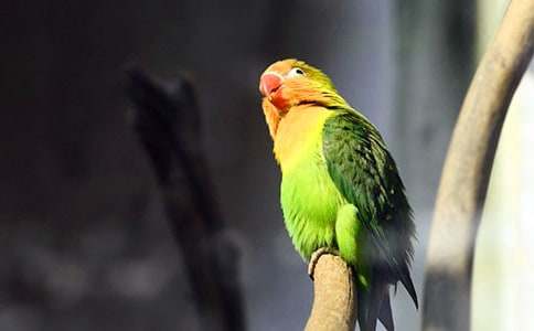 �P(gu��n)���W�^����500�֣����x29ƪ��