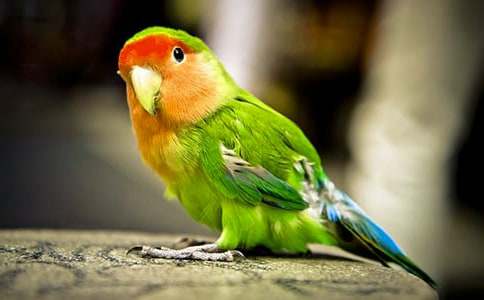 ���P(gu��n)�W�^�~(y��)����ʮƪ