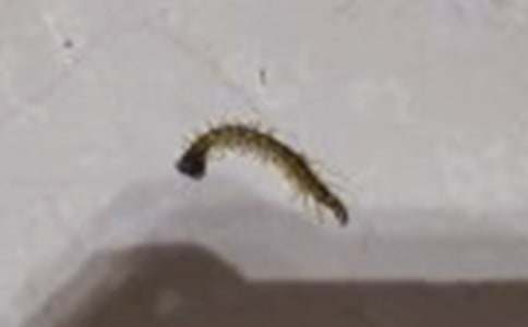 ������u(m��i)��-ͯԒ(hu��)����800��